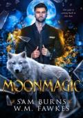 Moonmagic (Witchwolf #2)