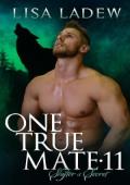 Shifter’s Secret (One True Mate #11)