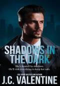 Shadows in the Dark (Blackridge Detectives #1)