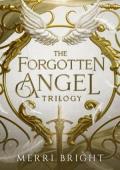 The Forgotten Angel Trilogy