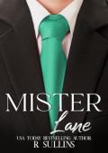 Mister Lane (CEOs of Kink #4)