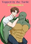 Topped By the Turtle (Must Love Boysen Witches #1)