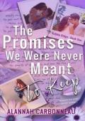 The Promises We Were Never Meant To Keep (Rubble Ridge #1)
