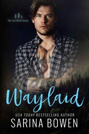 Waylaid (True North #8)