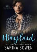 Waylaid (True North #8)