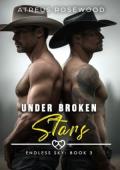 Under Broken Stars (Endless Sky Cowboys #3)