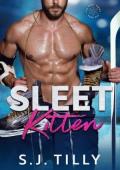 Sleet Kitten (Sleet #1)