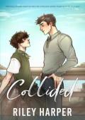 Collided (The Blackbird Boys #2)