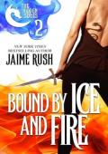 Bound By Ice and Fire (Hidden #2)