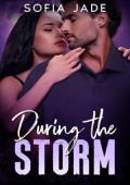 During the Storm (Brookhaven Lake #3)