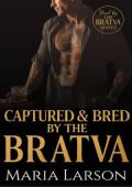 Captured and Bred By the Bratva (Bred By The BRATVA #11)