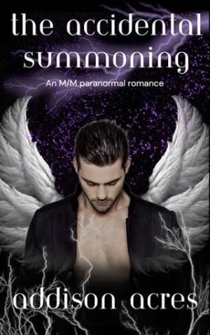 The Accidental Summoning (Kitchen Catastrophes #1)