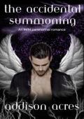The Accidental Summoning (Kitchen Catastrophes #1)