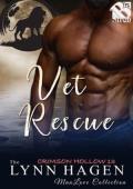 Vet Rescue (Crimson Hollow #13)