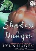 Shadow of Danger (Crimson Hollow #14)