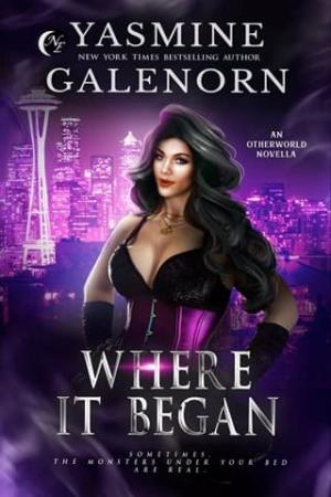 Where It Began (Otherworld Tales #6)