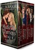 Medieval Warriors Boxed Set