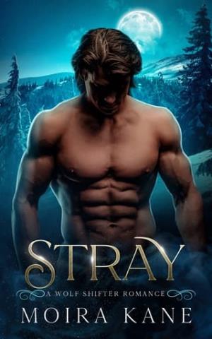 Stray (Silver Bullet Security)