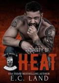 Property of Heat (Kings of Anarchy MC: Virginia #3)