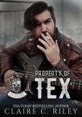 Property of Tex (Kings of Anarchy MC: Colorado #2)