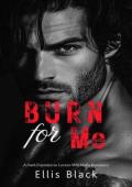 Burn For Me (Violent Vows #3)