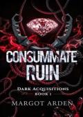 Consummate Ruin (Dark Acquisitions #1)