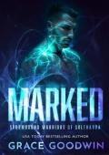 Marked (Stormbound Warriors of Soltharra #1)