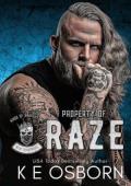 Property of Raze (Kings of Anarchy: New Hampshire #1)