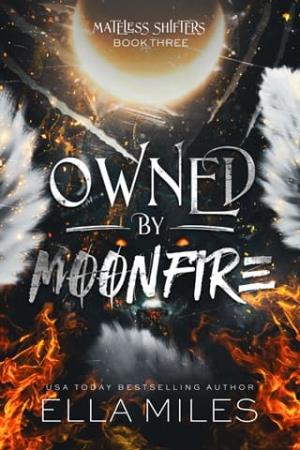 Owned By Moonfire (Mateless Shifters #3)