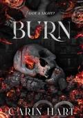 Burn (The Turning #1)