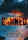 Burned (Dillon Security #1)
