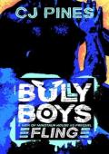 Fling (Bully Boys #2)