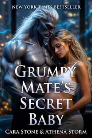 Grumpy Mate’s Secret Baby