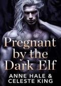 Pregnant By the Dark Elf