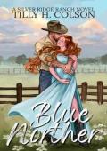 Blue Norther (Silver Ridge Ranch #1)