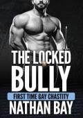 The Locked Bully (Gay Chastity Stories #1)