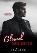 Gloved Secrets (Billionaire Bikers #2)
