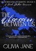 The Obsession Between Us (Murderously Romantic #4)