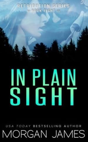 In Plain Sight (Retribution #8)