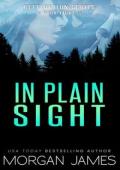 In Plain Sight (Retribution #8)