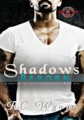Shadows Reborn (Garrison Security Innovations #6)