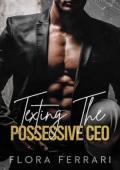 Texting the Possessive CEO (Texting The CEO #5)