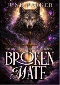 Broken Mate (The Aldridge Chronicles #1)
