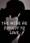 THE WIFE HE FORGOT TO LOVE