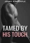 Tamed By His Touch (The Red Corner #2)