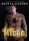 Micah (The Delgado Files #4)