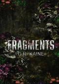 Fragments