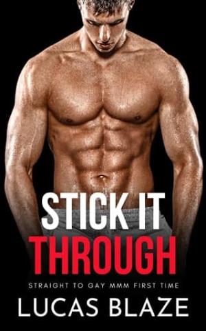 Stick It Through (Gay Shorts MMM+ #1)
