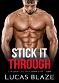 Stick It Through (Gay Shorts MMM+ #1)