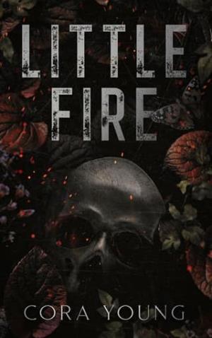 Little Fire